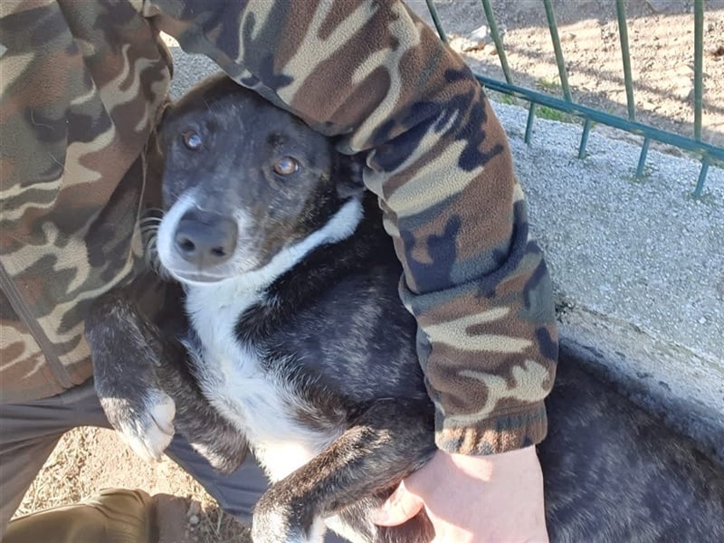 GOOD- toller Freizeitpartner