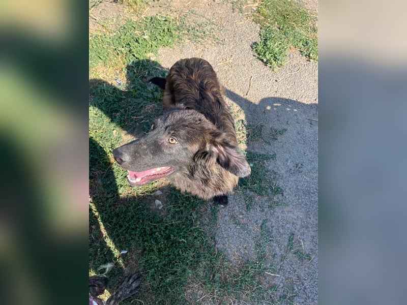 BOBBY- bildschöner Kerl