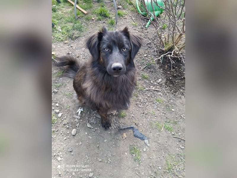 BOBBY- bildschöner Kerl