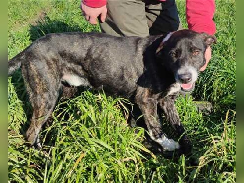 GOOD- toller Freizeitpartner