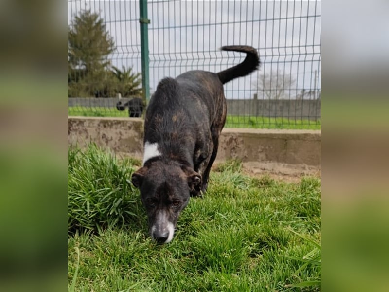 GOOD- toller Freizeitpartner