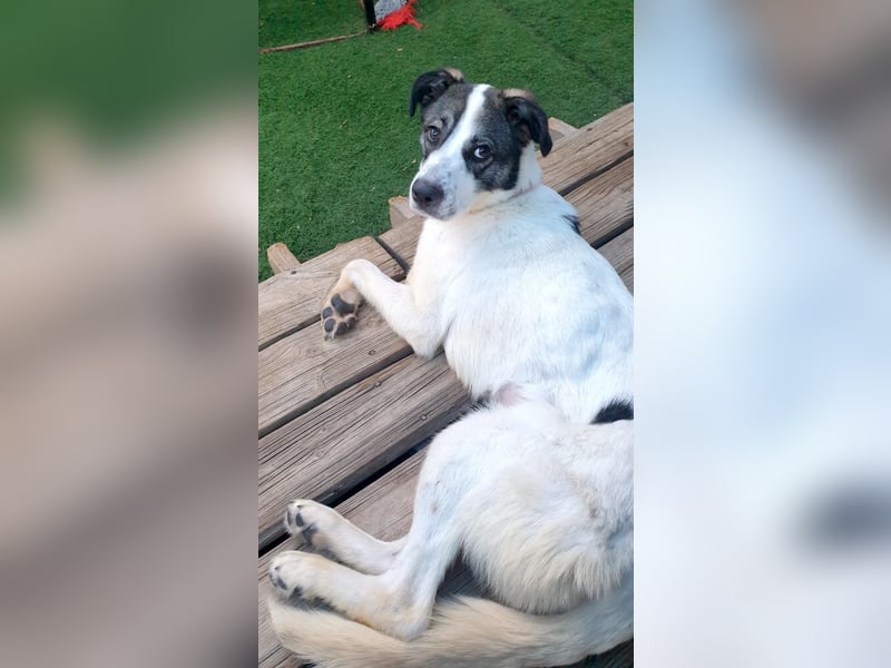 CHIKA sucht ihre Herzensmenschen