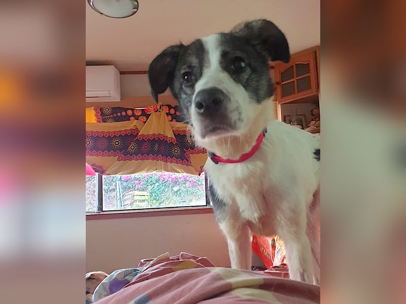 CHIKA sucht ihre Herzensmenschen