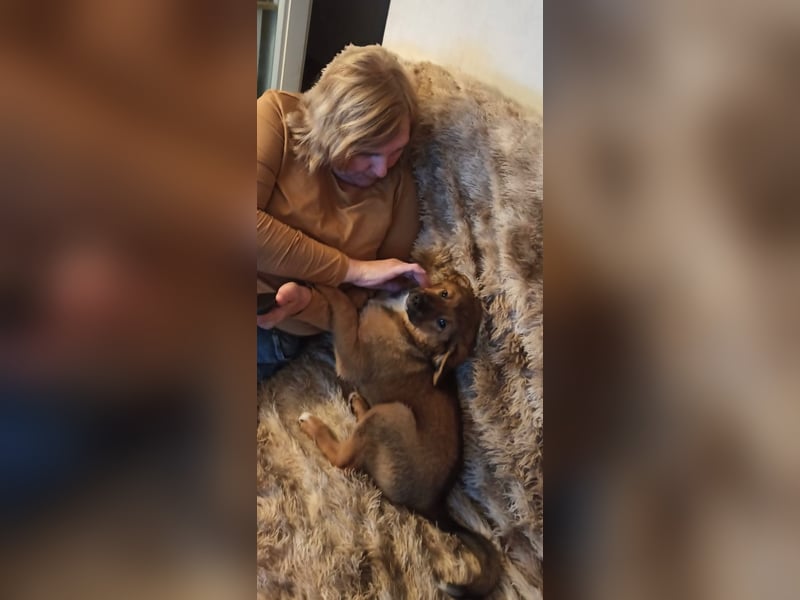 Bärchen Tommi sucht ein Zuhause mit Kuschelflat