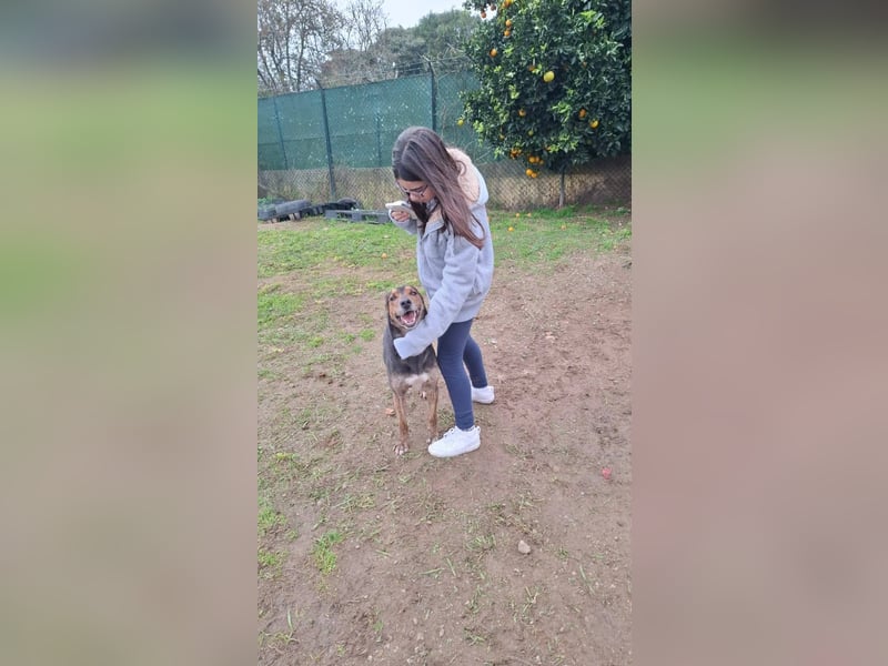 Feiner Goya sucht sein Zuhause / Paten