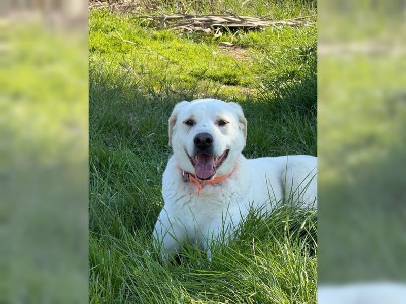 Oliver ist für jeden Schabernack zu haben