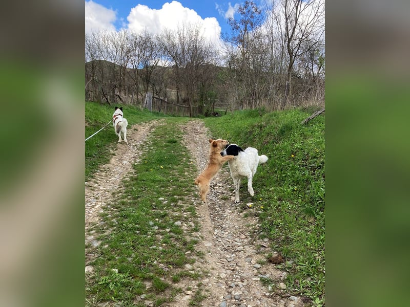 Große Monnie sucht Ihr passendes Körbchen