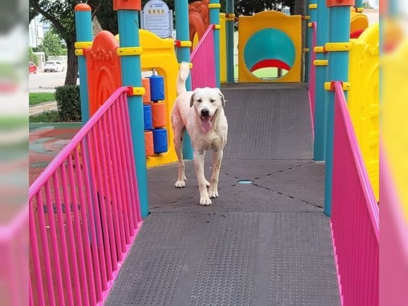 Oliver ist für jeden Schabernack zu haben