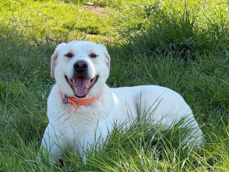 Oliver ist für jeden Schabernack zu haben