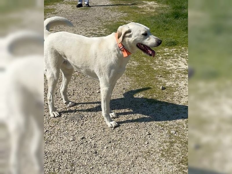 Oliver ist für jeden Schabernack zu haben