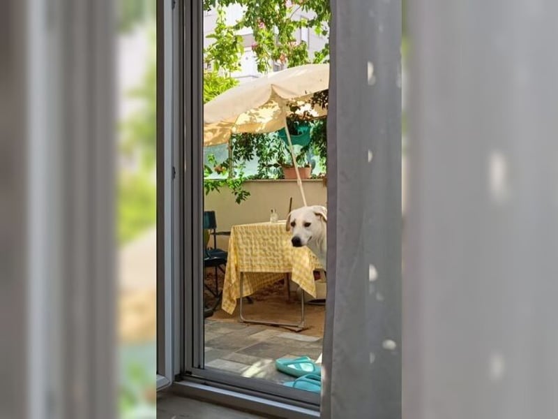 Oliver ist für jeden Schabernack zu haben