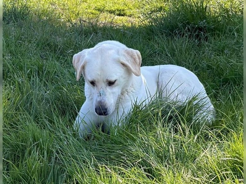 Oliver ist für jeden Schabernack zu haben