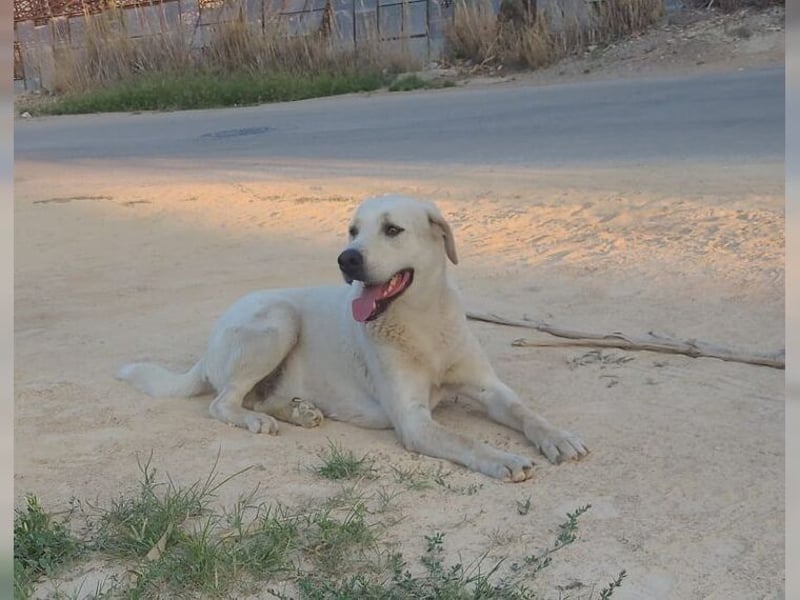 Oliver ist für jeden Schabernack zu haben