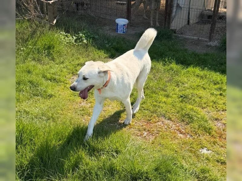 Oliver ist für jeden Schabernack zu haben