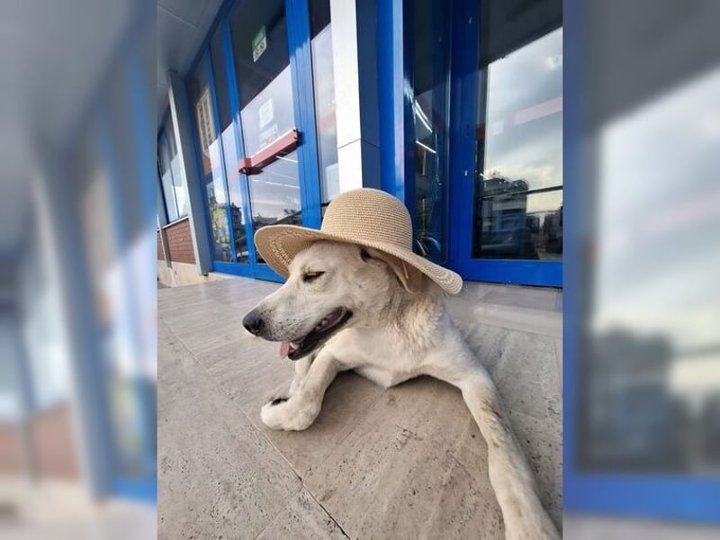 Oliver ist für jeden Schabernack zu haben