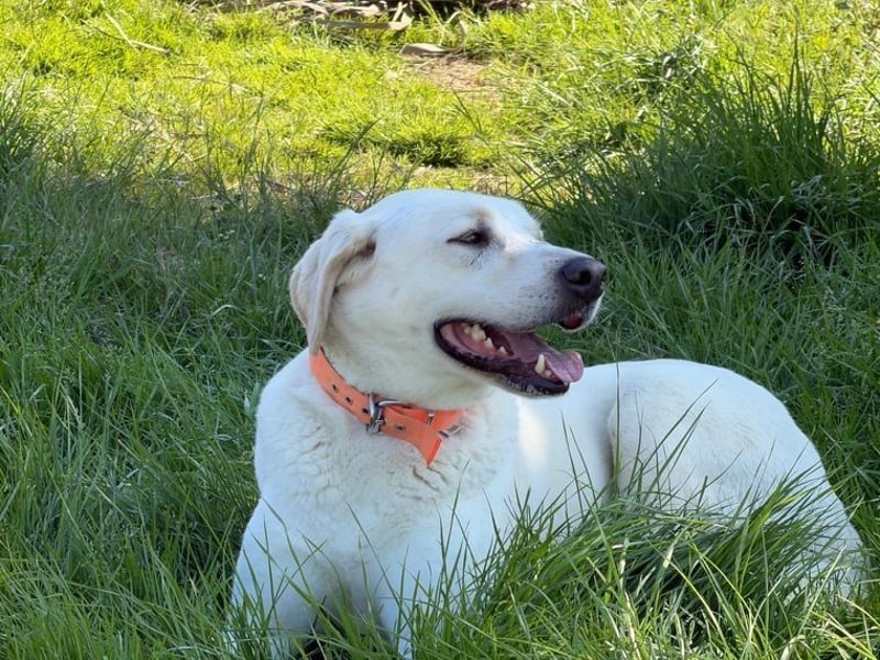 Oliver ist für jeden Schabernack zu haben