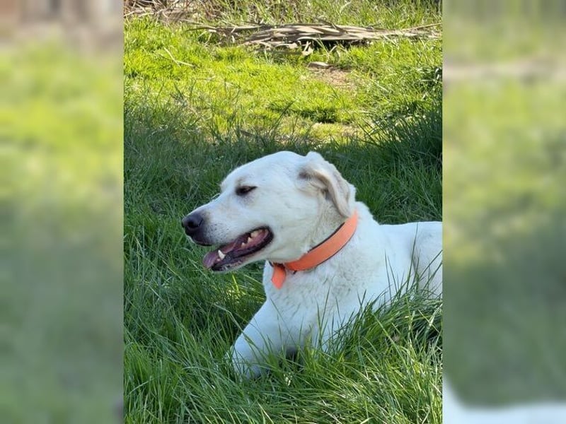 Oliver ist für jeden Schabernack zu haben