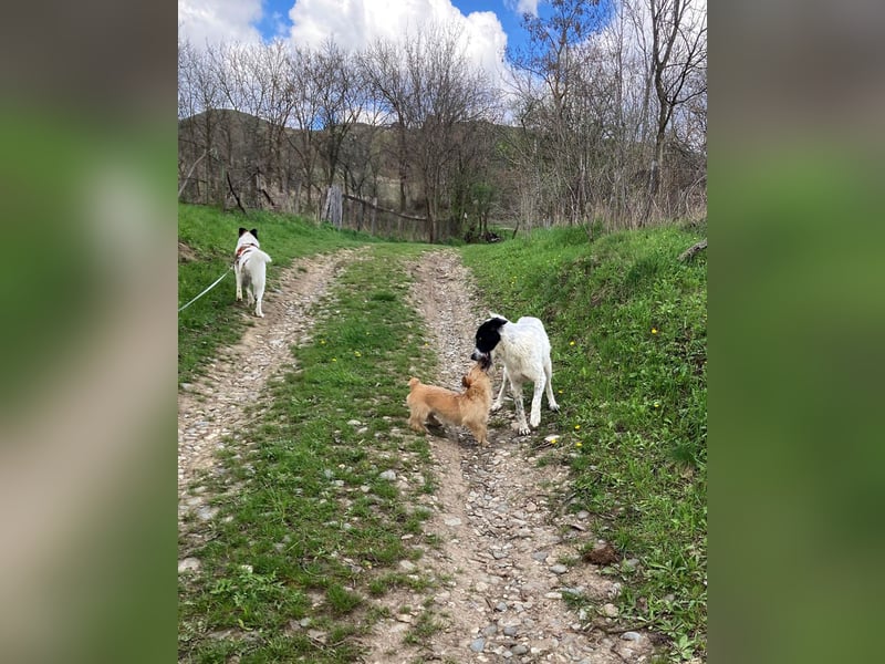 Große Monnie sucht Ihr passendes Körbchen