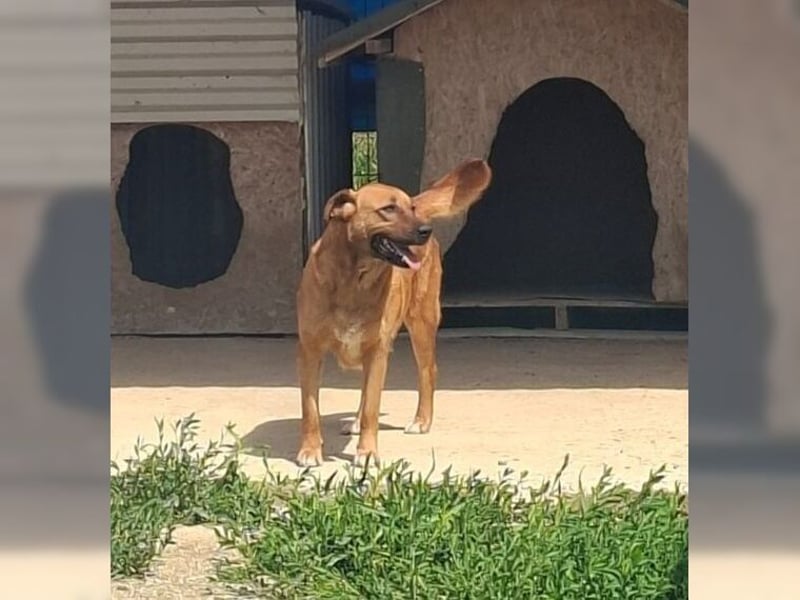 Coole Socke Lisa, kann so schnell nichts stressen