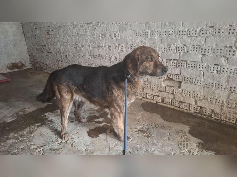 Henry wird immer übersehen