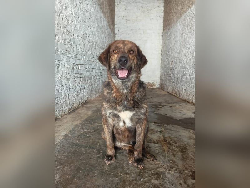 Henry wird immer übersehen