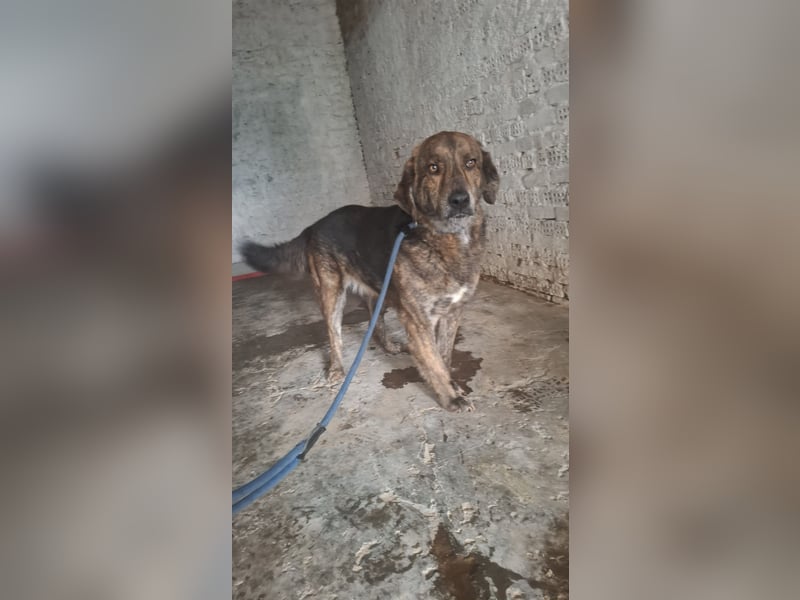 Henry wird immer übersehen