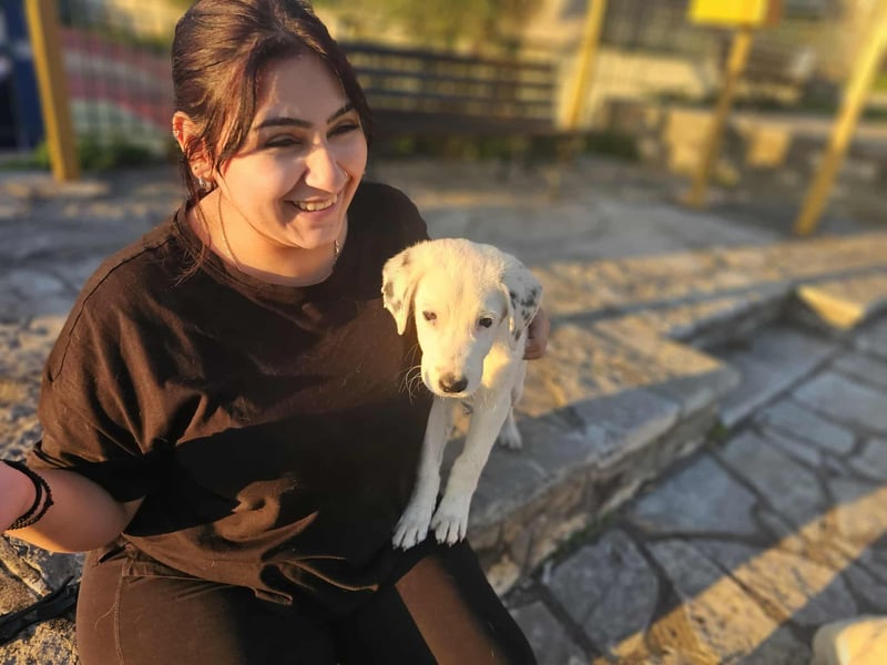 Motte: freches Hundemädchen sucht Körbchen