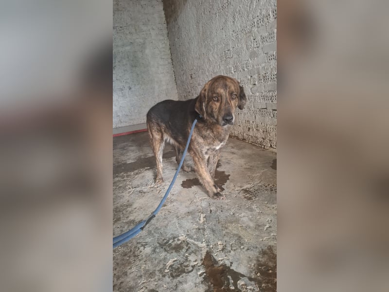 Henry wird immer übersehen