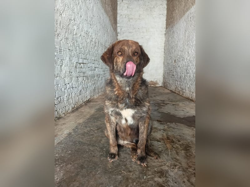 Henry wird immer übersehen