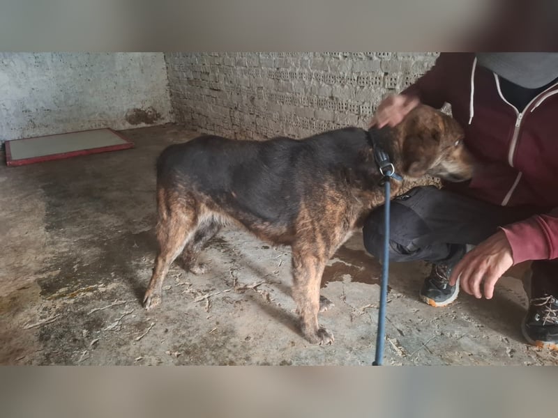 Henry wird immer übersehen