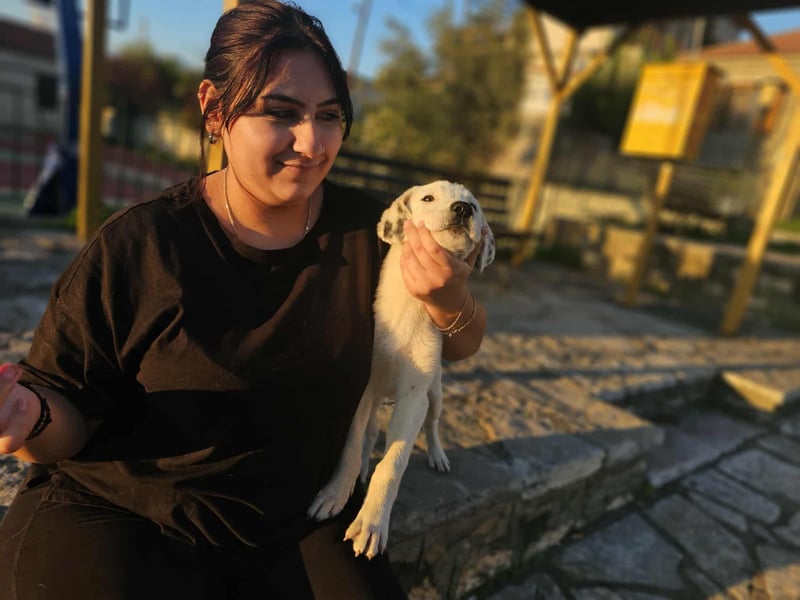 Motte: freches Hundemädchen sucht Körbchen