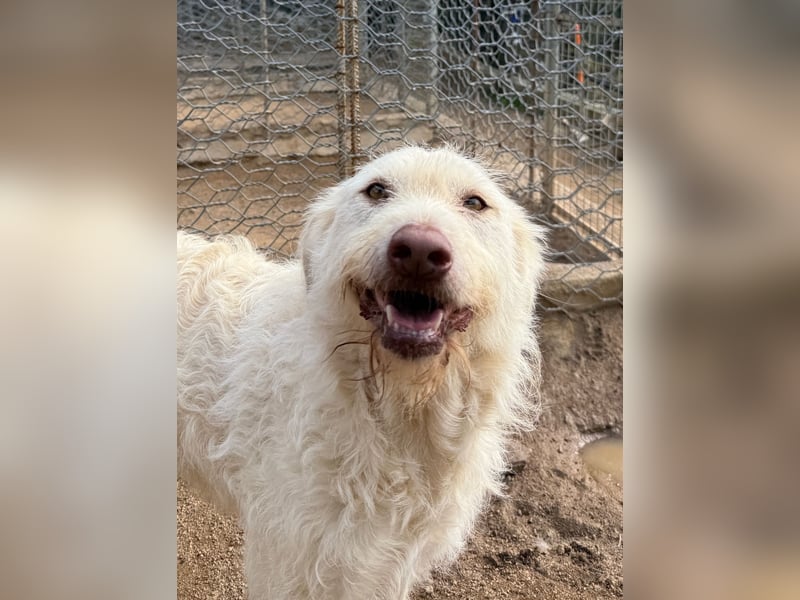 HAKUNA - so hübsch und so nett