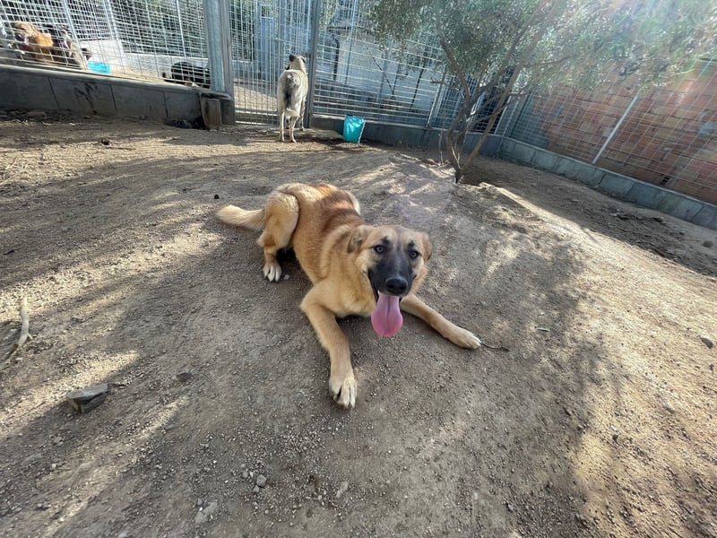 MEG - sie braucht aktive Menschen