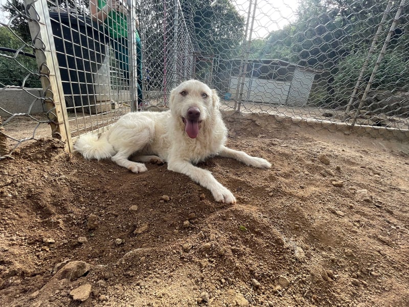 HAKUNA - so hübsch und so nett