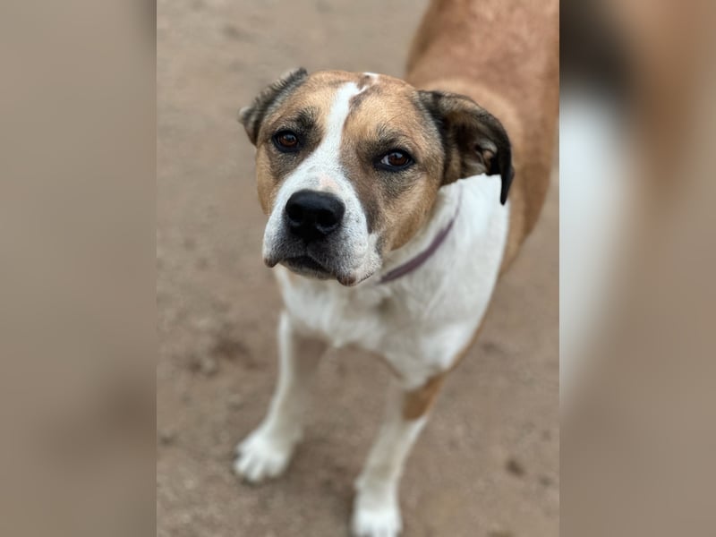 LUCINA - liebevolles Kraftpaket