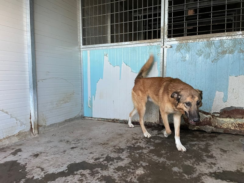 DANNY - sensibel & menschenbezogen