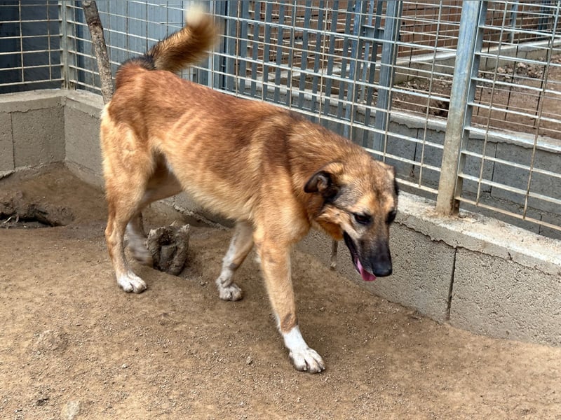 DANNY - sensibel & menschenbezogen