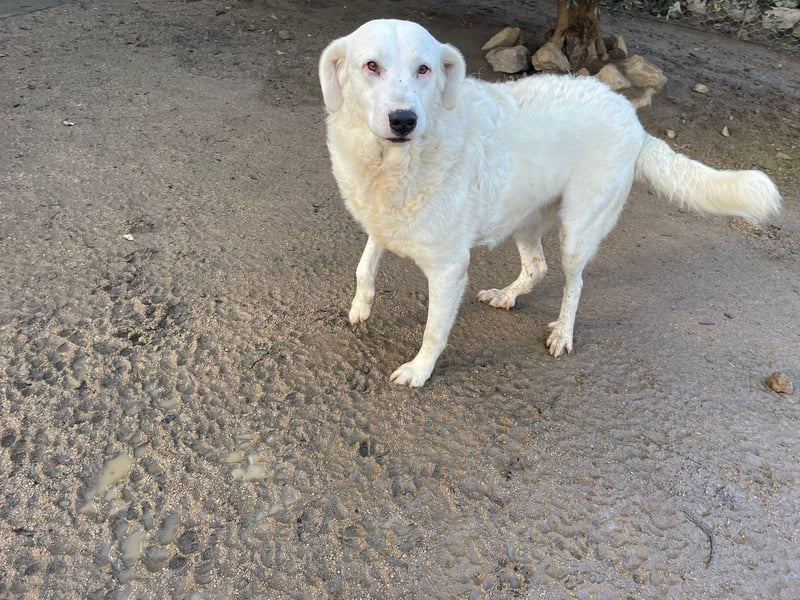 CANNONAU - freundlich & menschenbezogen