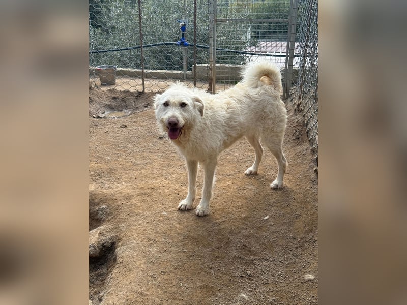 HAKUNA - so hübsch und so nett