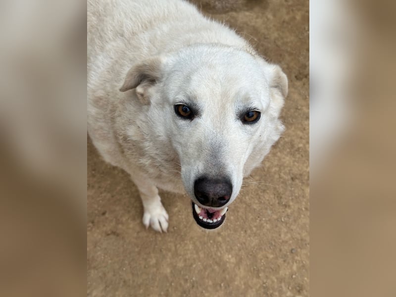 AGOSTINA - bildhübsch und freundlich