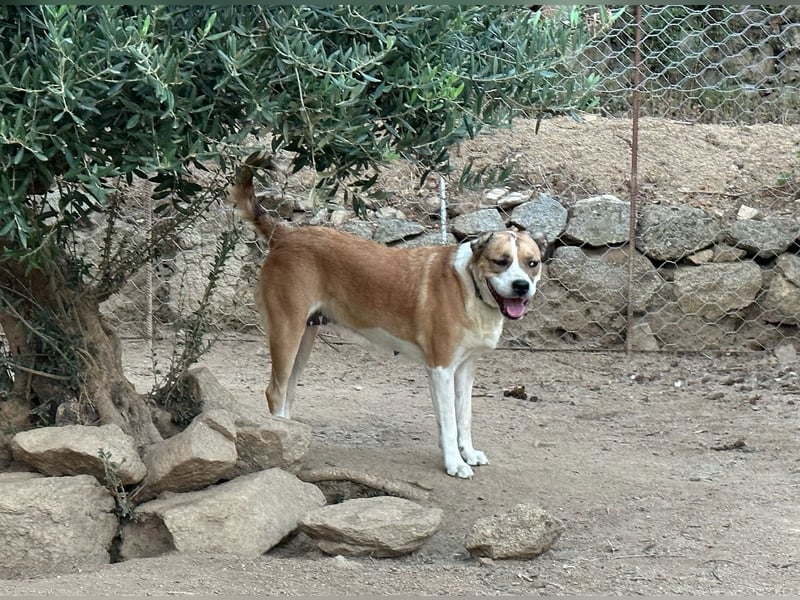 LUCINA - liebevolles Kraftpaket