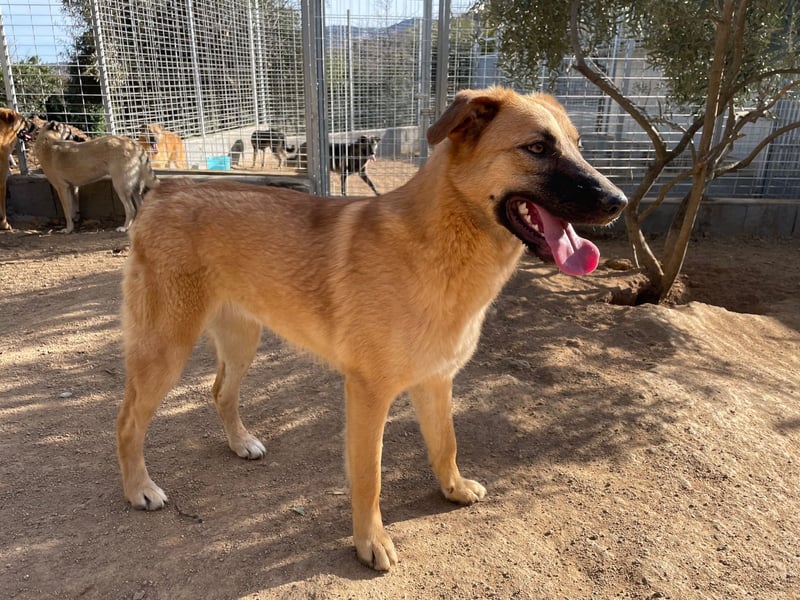 MEG - sie braucht aktive Menschen