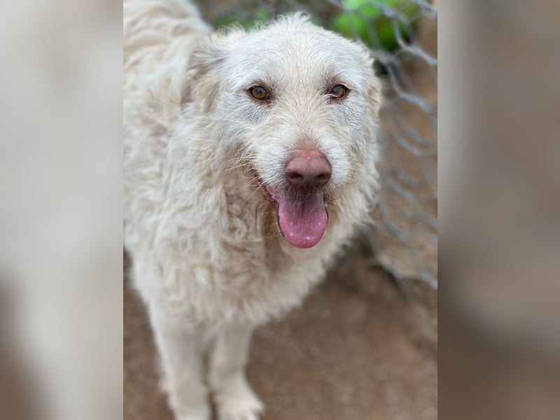 HAKUNA - so hübsch und so nett