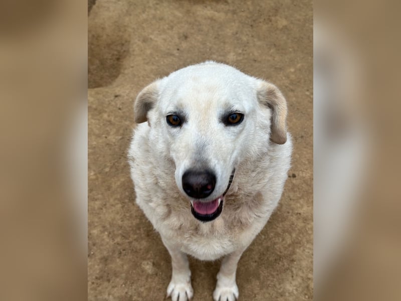 AGOSTINA - bildhübsch und freundlich