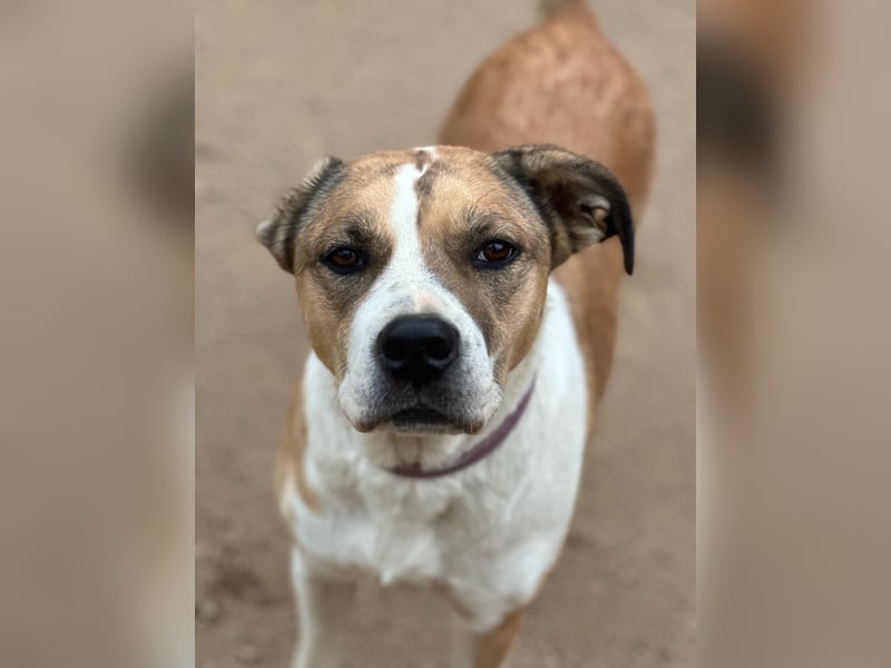 LUCINA - liebevolles Kraftpaket