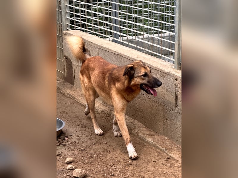 DANNY - sensibel & menschenbezogen