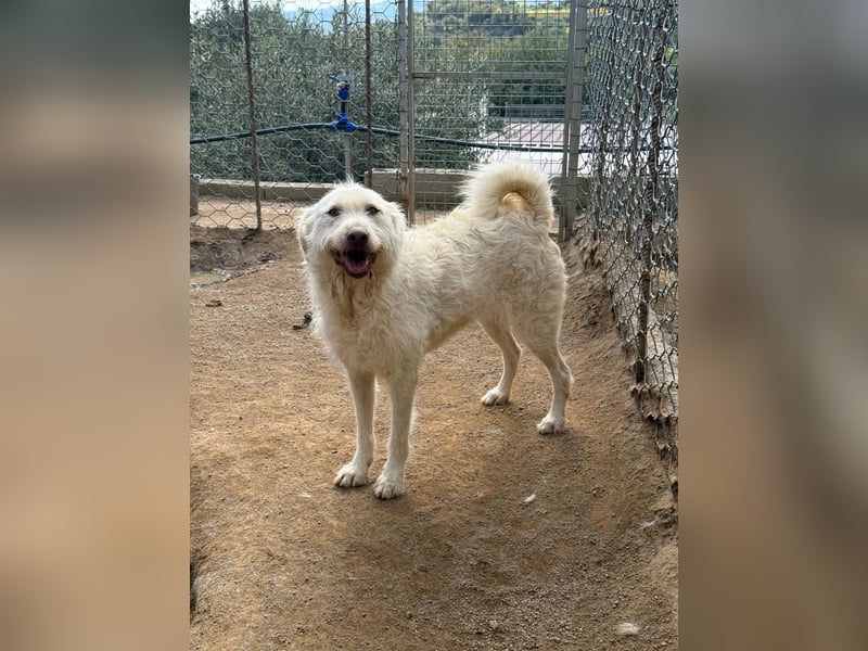 HAKUNA - so hübsch und so nett