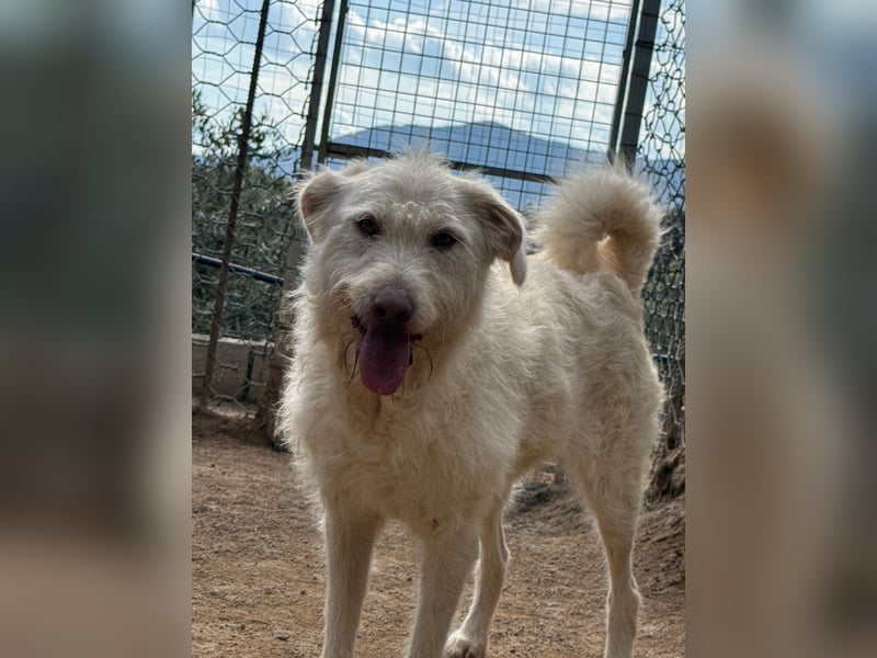 HAKUNA - so hübsch und so nett