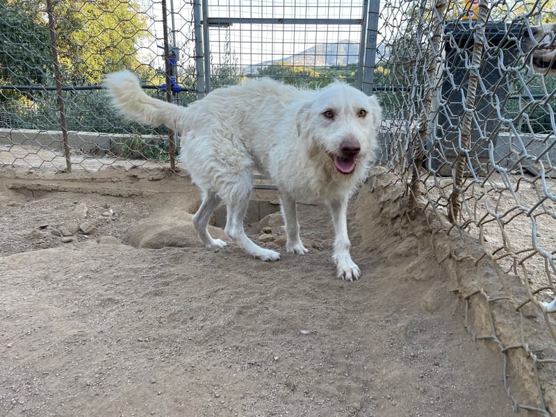 HAKUNA - so hübsch und so nett