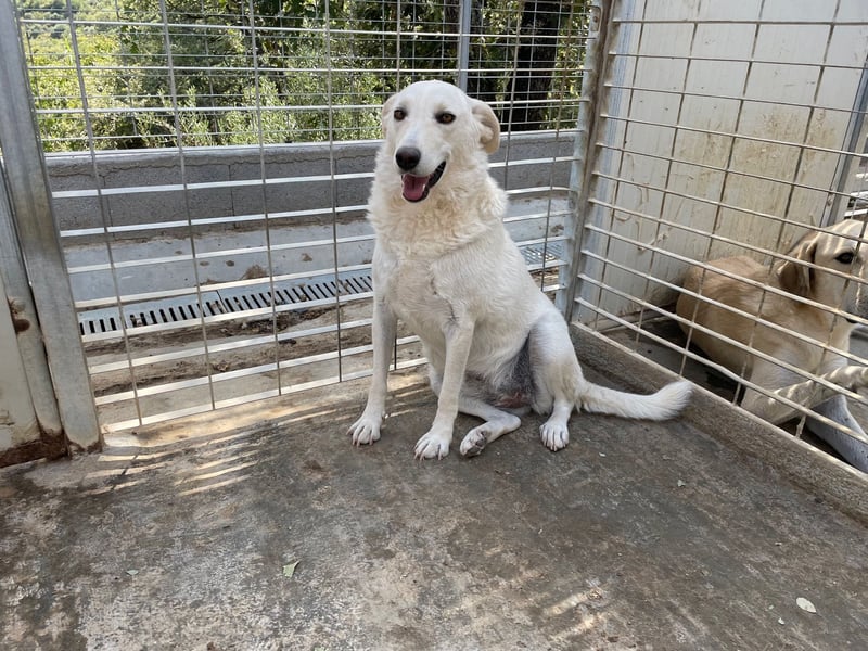 AGOSTINA - bildhübsch und freundlich